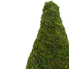 21" Green and White Reindeer Moss Potted Artificial Spring Floral Topiary Tree