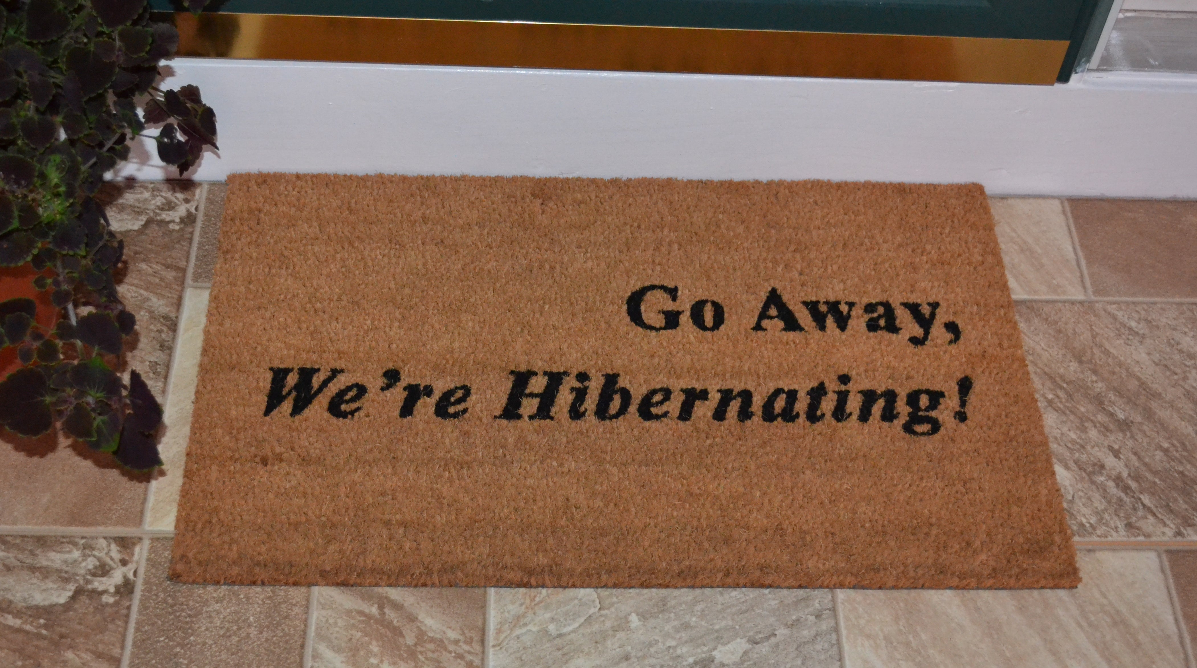  Imports Decor Hibernating Doormat - N/A - Bonton