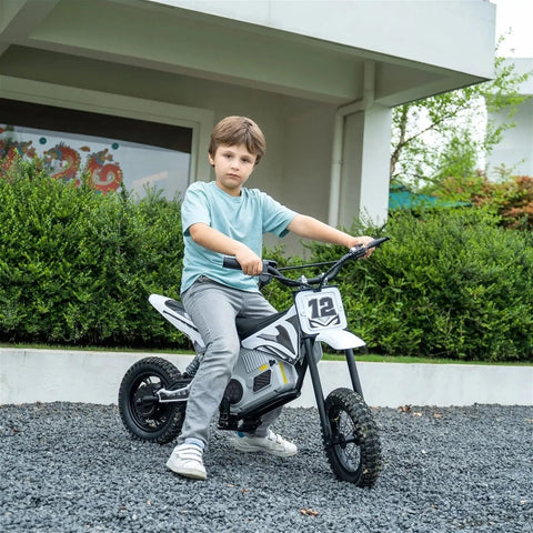 36V Freddo Electric Dirt Bike With Brushless Motor
