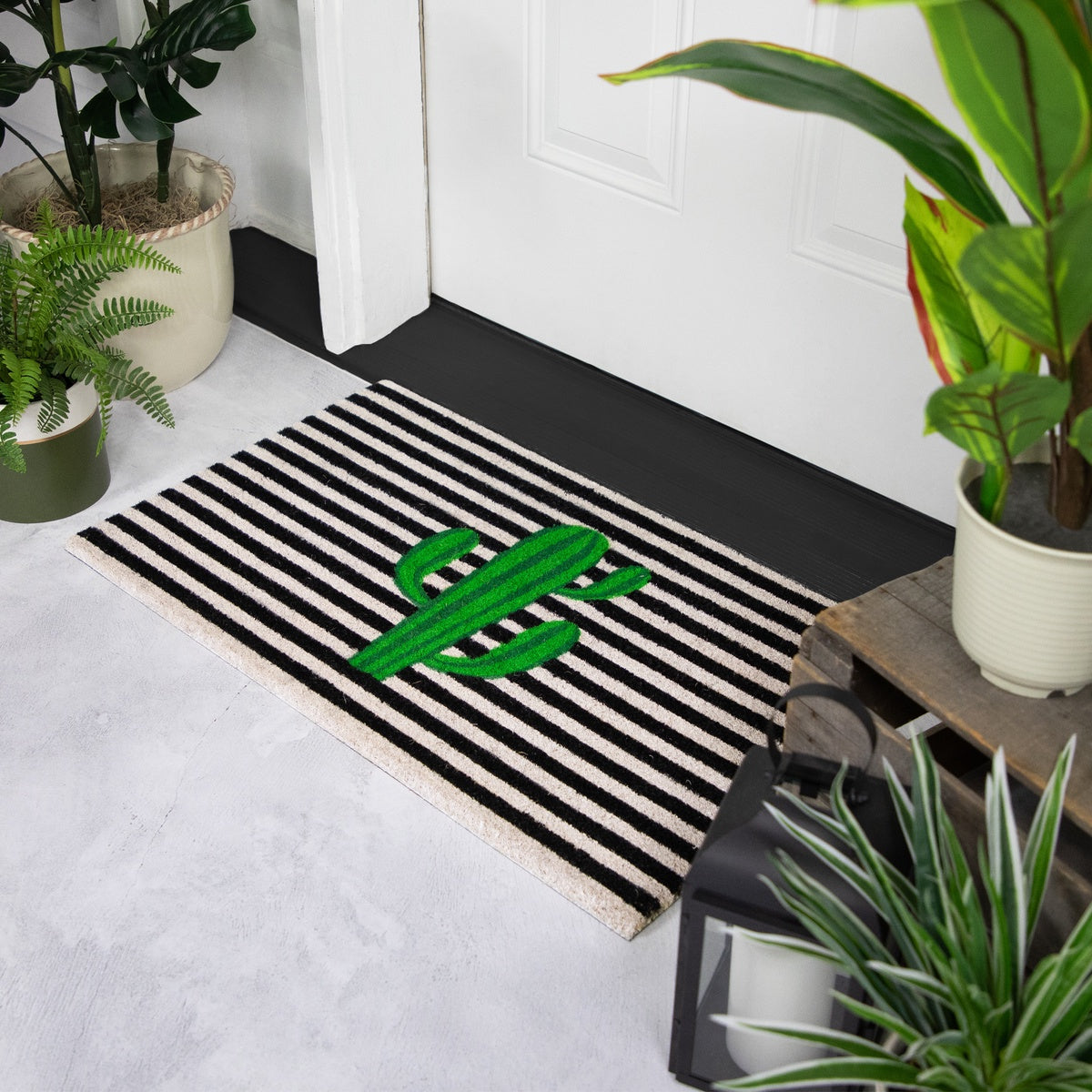  Northlight Green Cactus Striped Natural Coir Outdoor Doormat 18