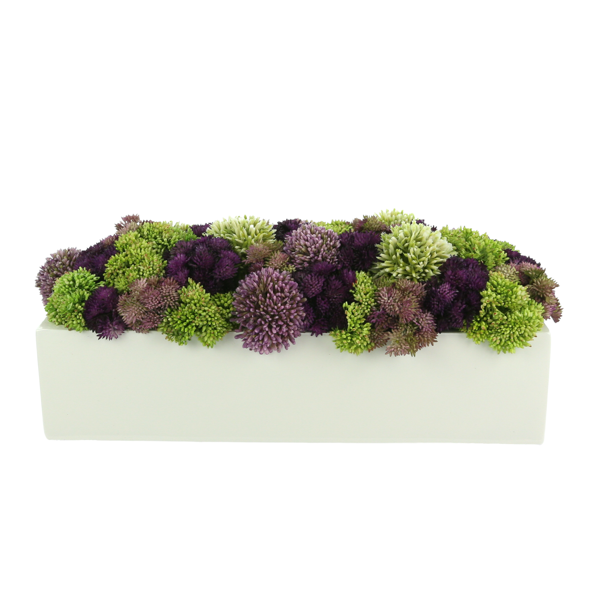  Creative Displays Assorted Sedum and Allium in a Rectangular Planter - Multi - Bonton