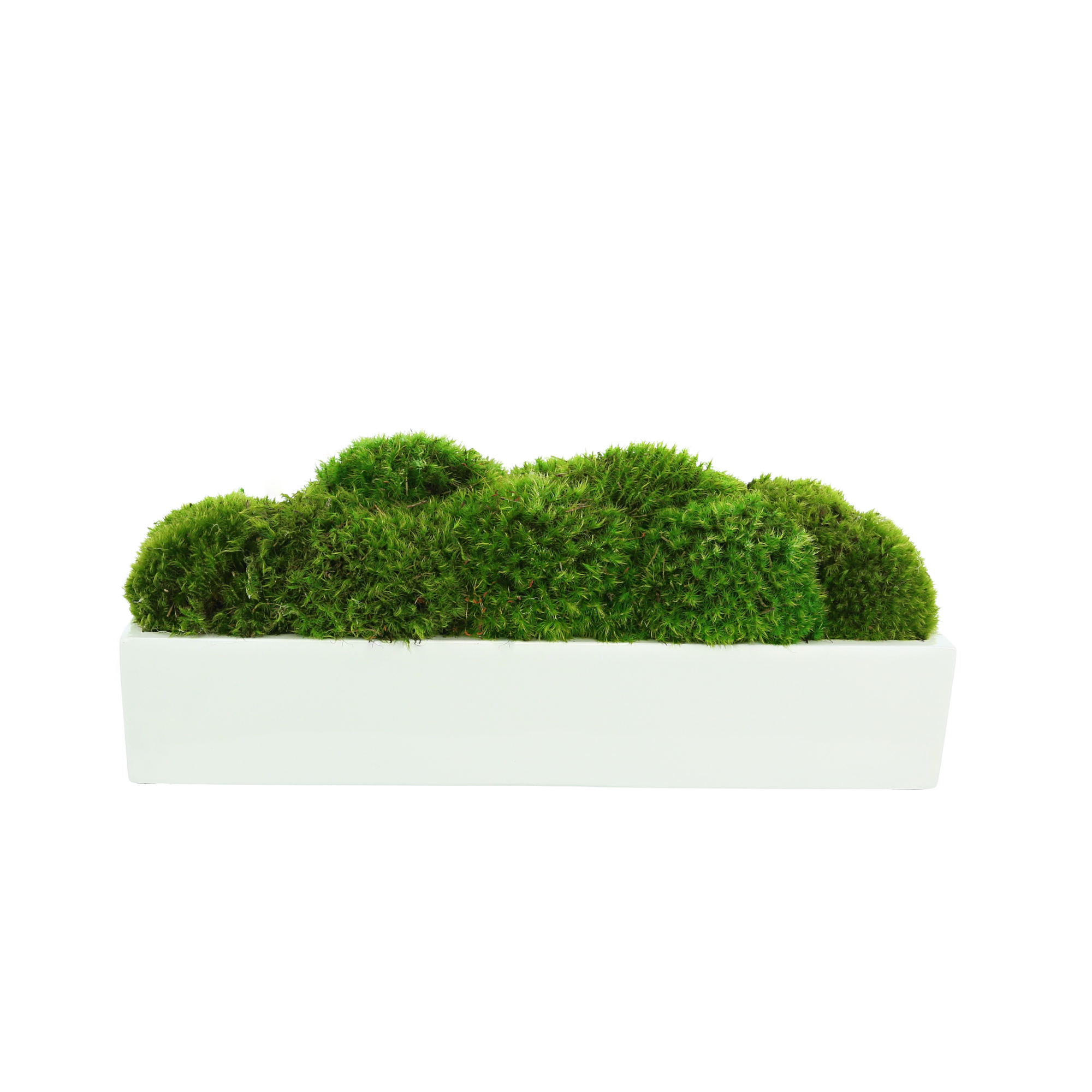  Creative Displays Mood Moss Arrangement in a Glossy Fiberstone Planter - Green - Bonton