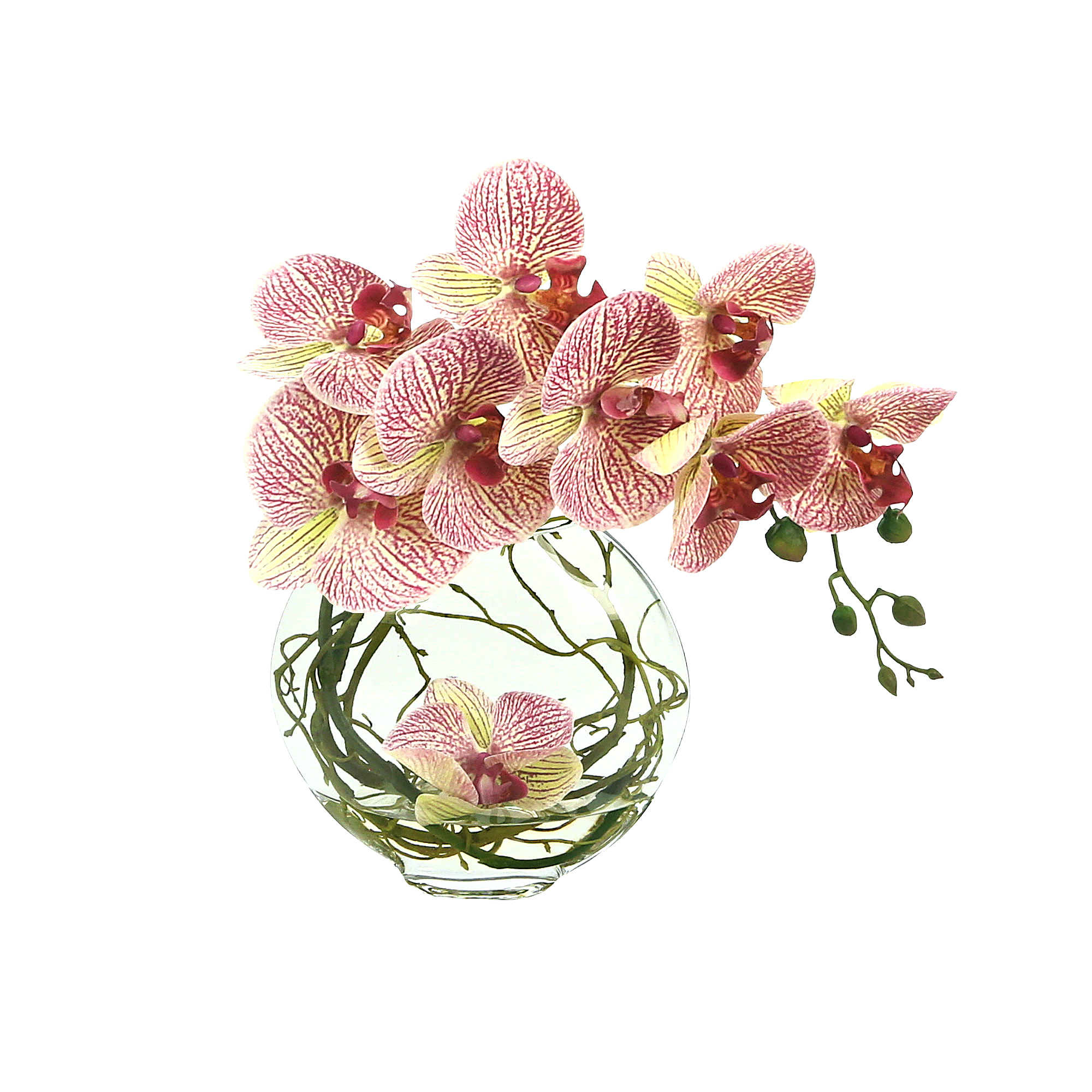  Creative Displays Orchid Floral in a Glass Vase - Pink - Bonton