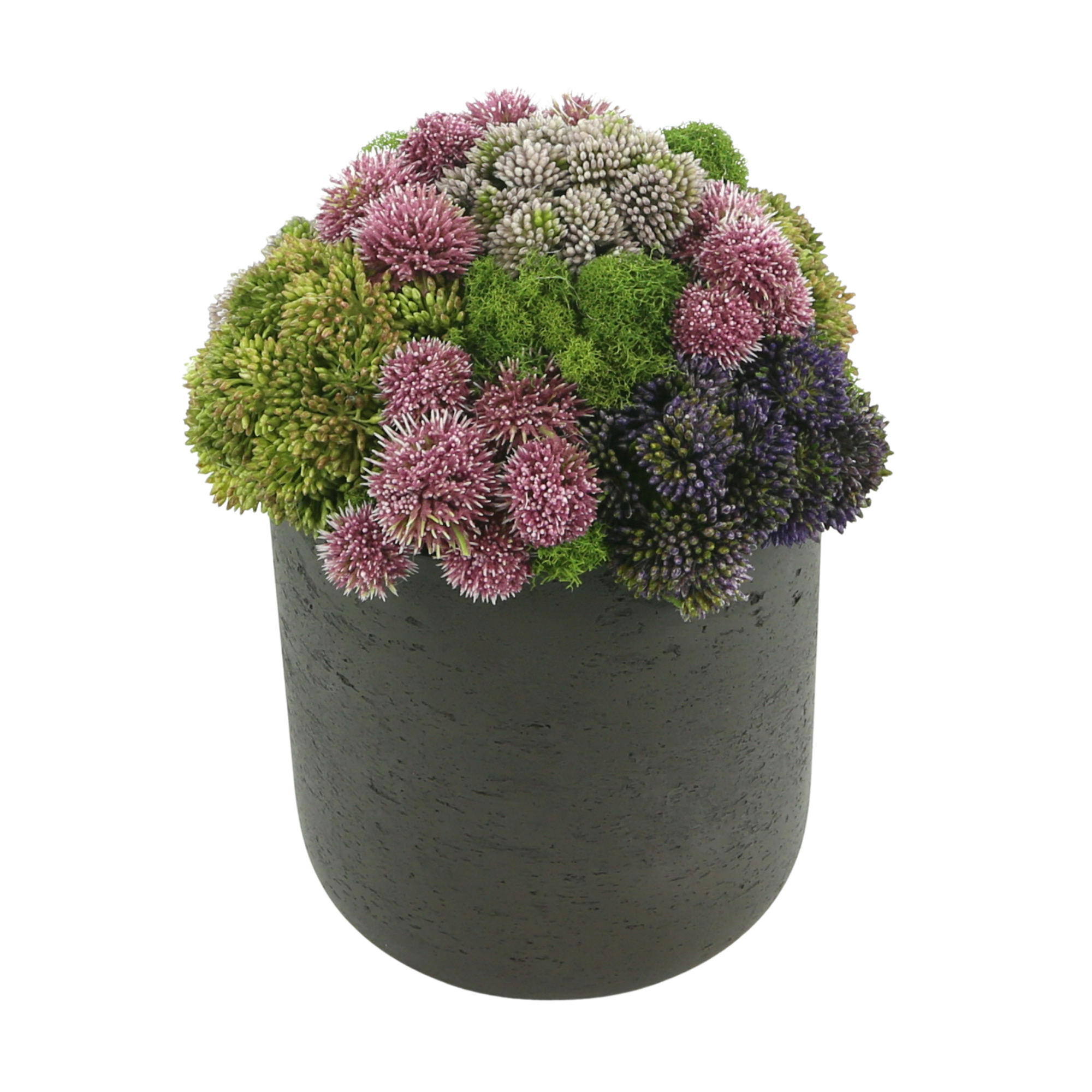  Creative Displays Sedum and Moss in a Fiberstone Pot - Multi - Bonton