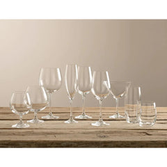 Elegance Tumbler Glasses Set of 2