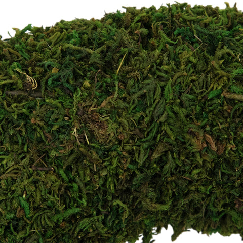 13.7" Reindeer Moss Artificial Floral Spring Wreath - Unlit
