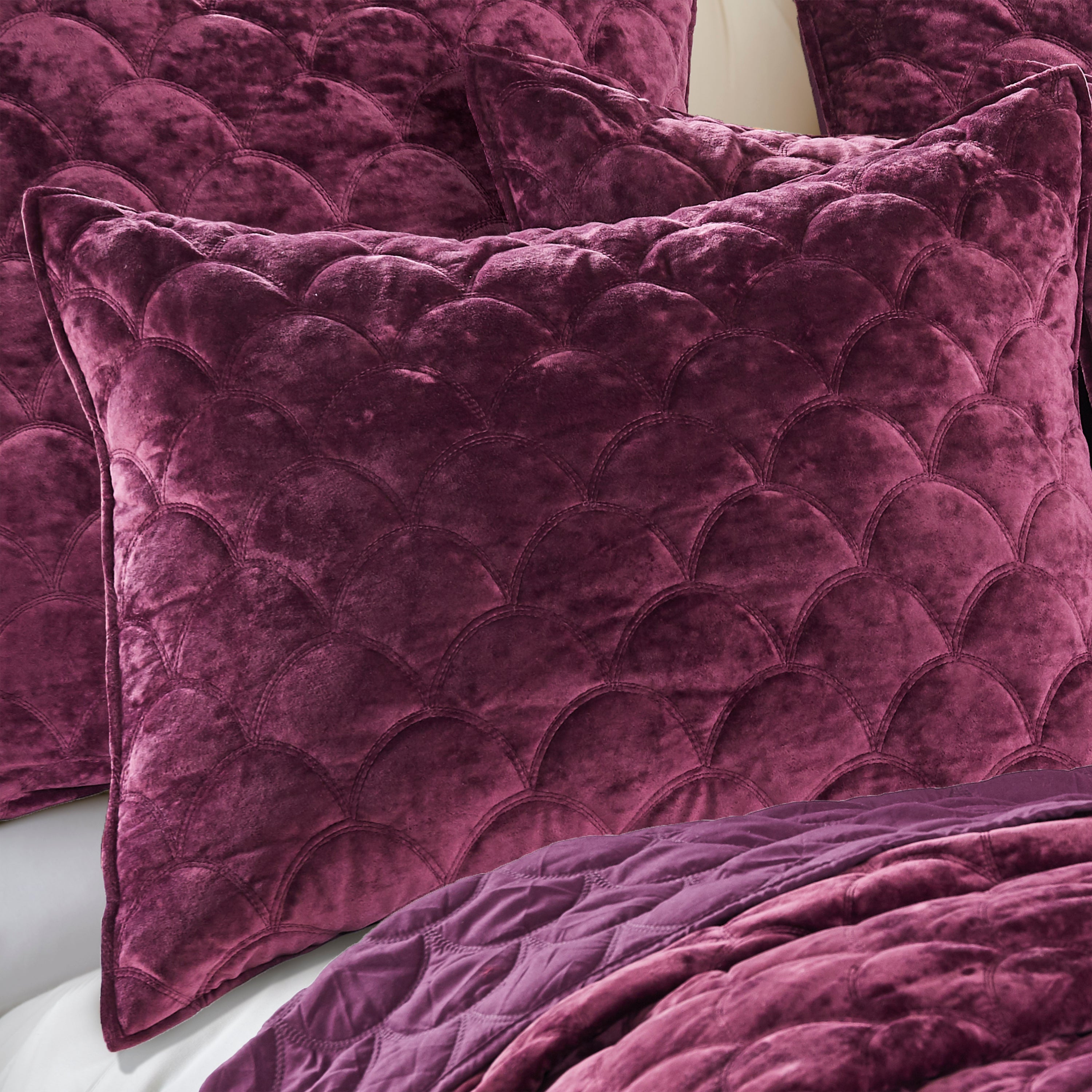  Birch Hill By Levtex Ellora Plum Velvet Quilt - Plum - Bonton