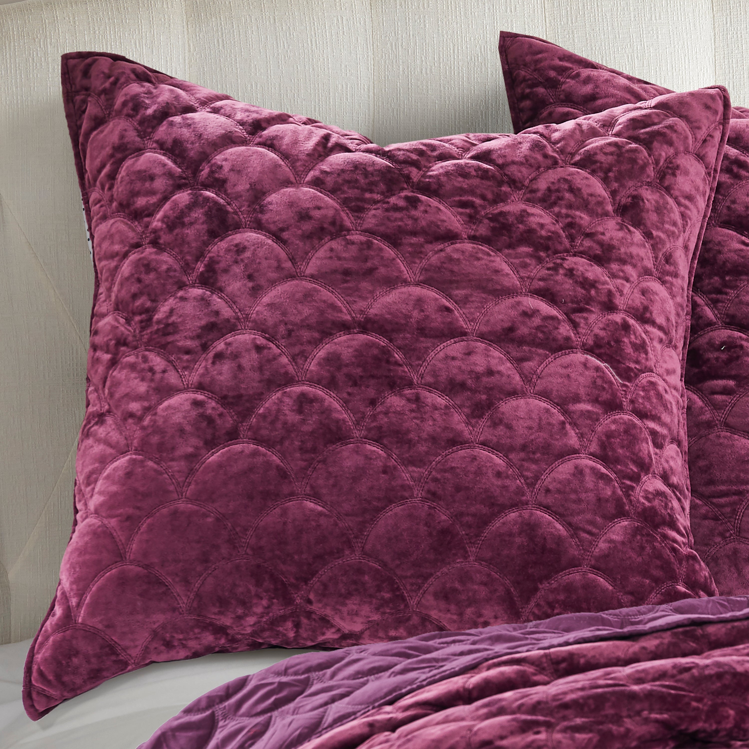  Birch Hill By Levtex Ellora Plum  Velvet Euro Sham - Plum - Bonton