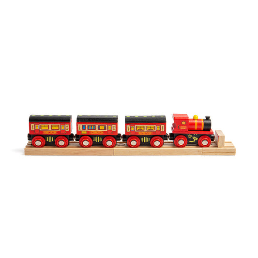 The Sleeper Train by Bigjigs Toys US