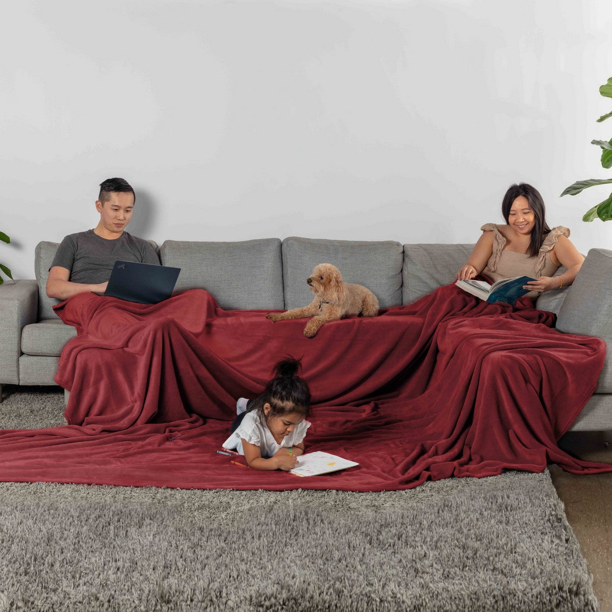  Velvet Plush Family Blanket Cabernet - Cabernet - Bonton