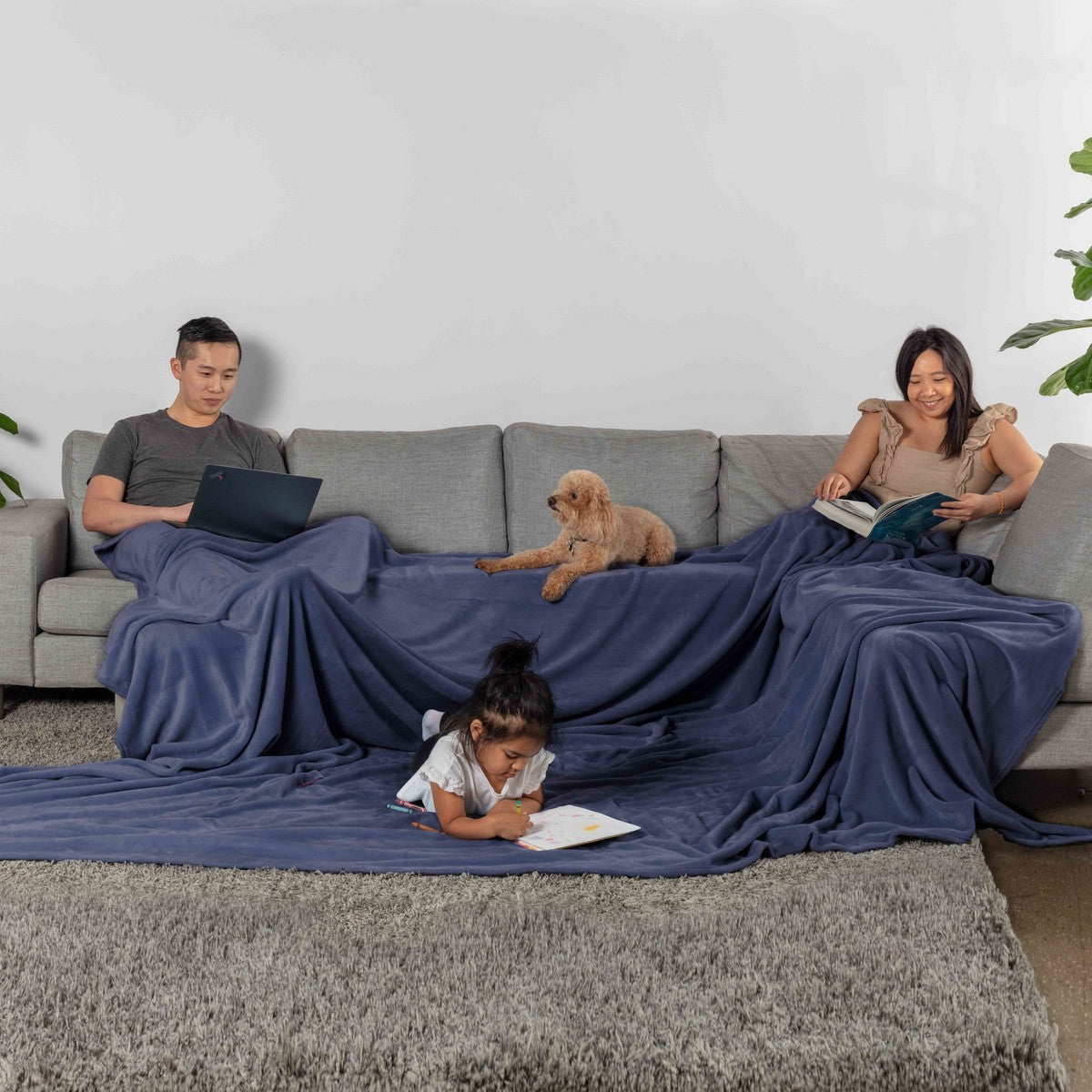  Velvet Plush Family Blanket Navy - Navy - Bonton