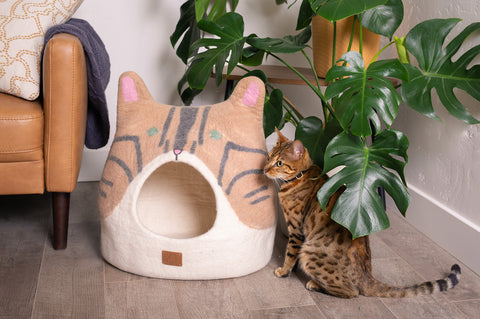 Bengal Cat Design | Ear Style Cave by Fuzzy Cove