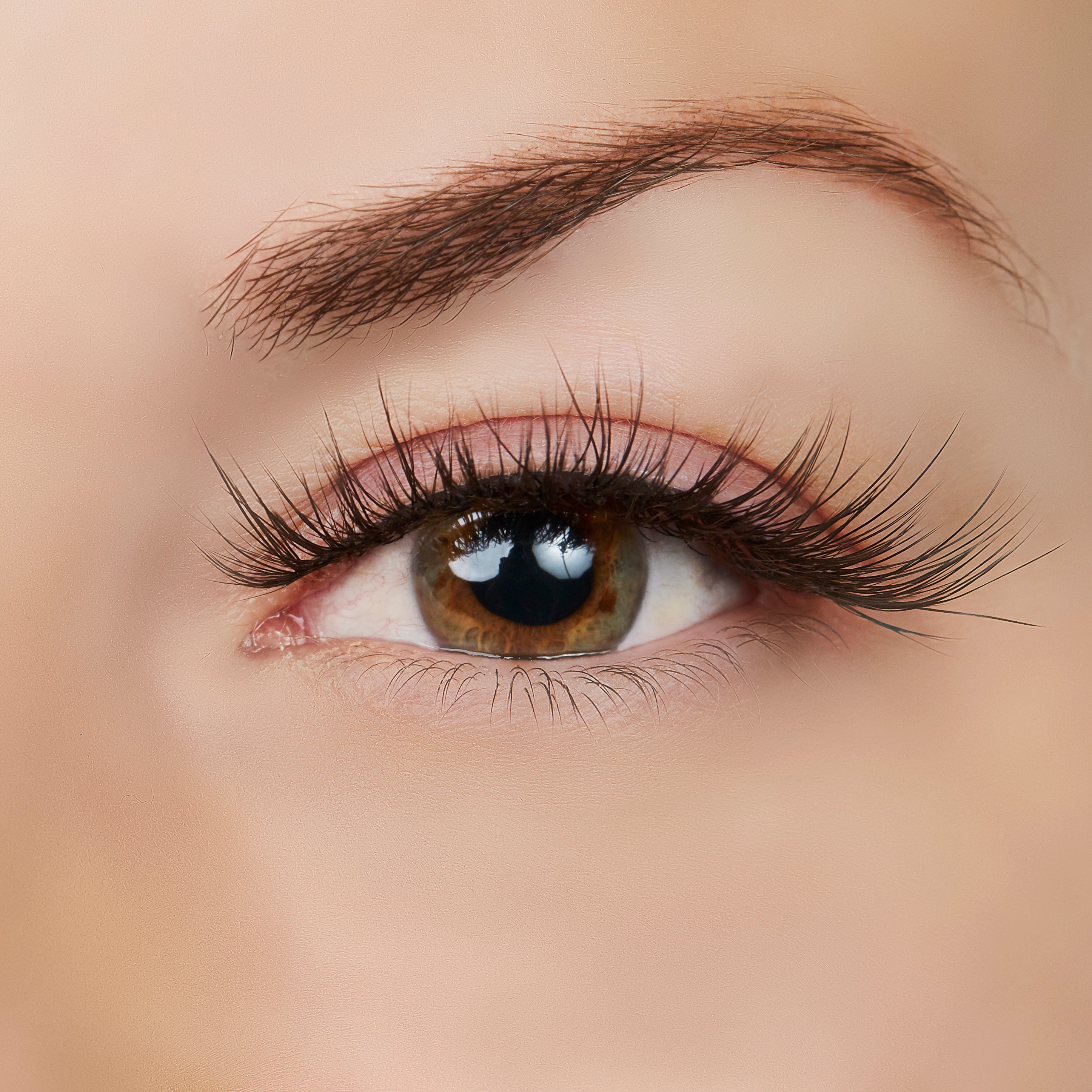 True Beauty Lashes Isn't She Lovely? Lash Style by True Beauty Lashes - Standard (apply with Lash Adhesive) - Bonton