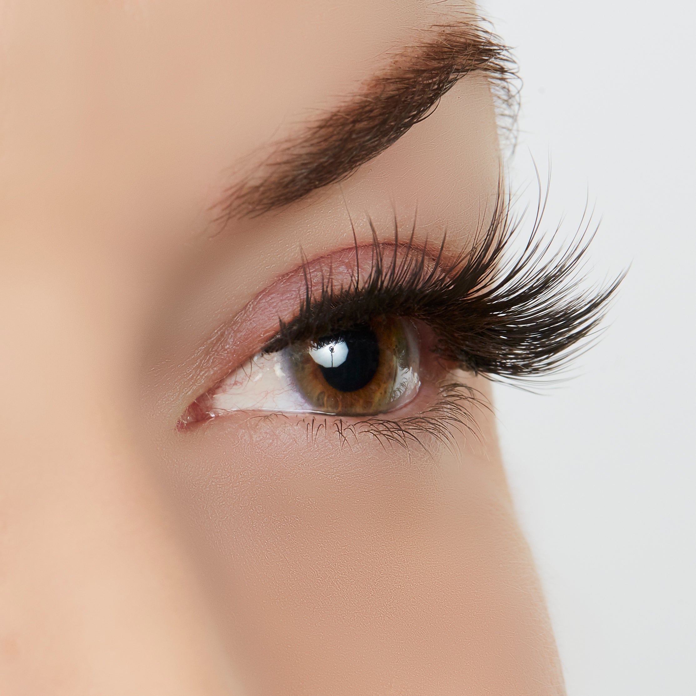  True Beauty Lashes A Touch of Heaven Lash Style by True Beauty Lashes - Standard (apply with Lash Adhesive) - Bonton