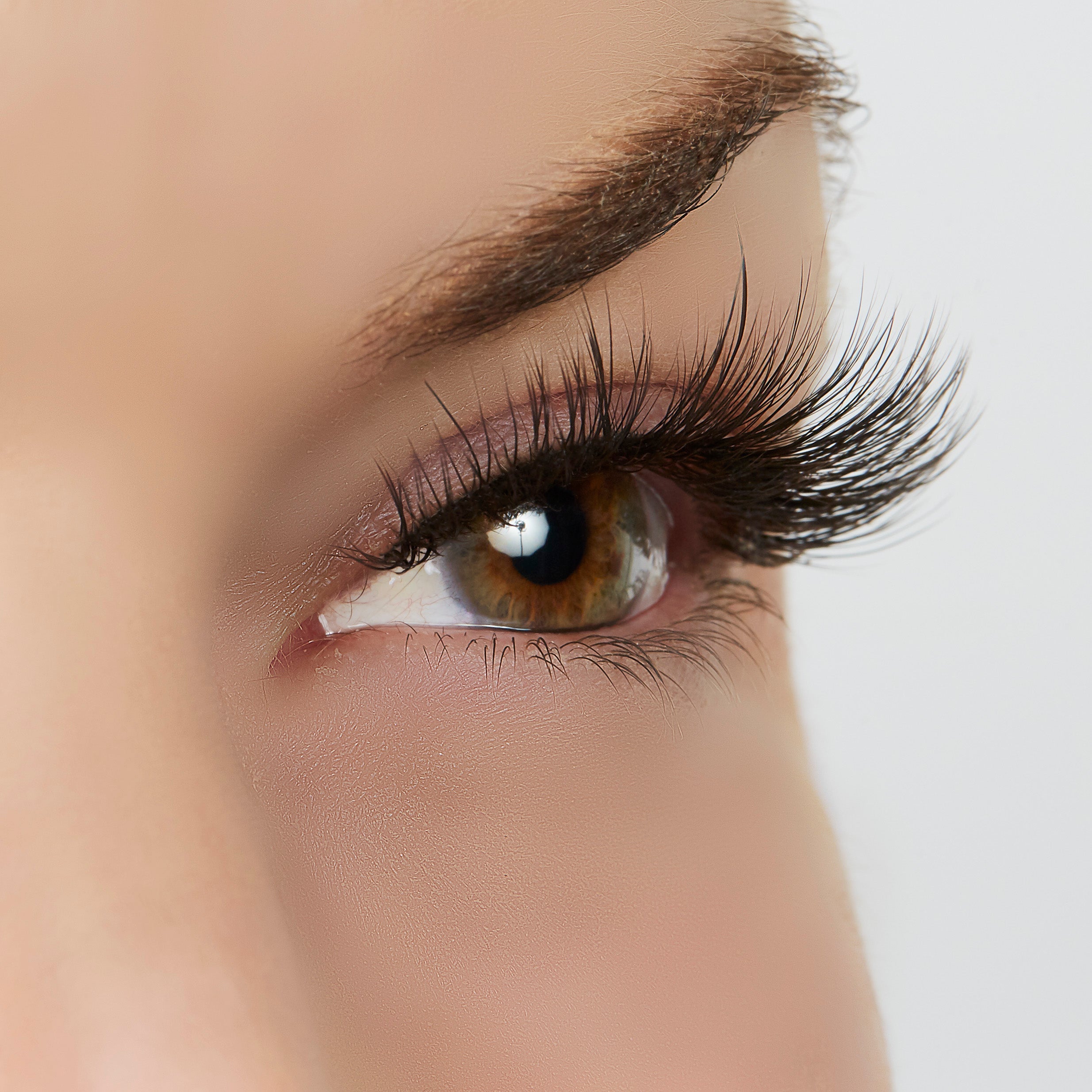  True Beauty Lashes Hustle in Heels Lash Style by True Beauty Lashes - Standard (apply with Lash Adhesive) - Bonton