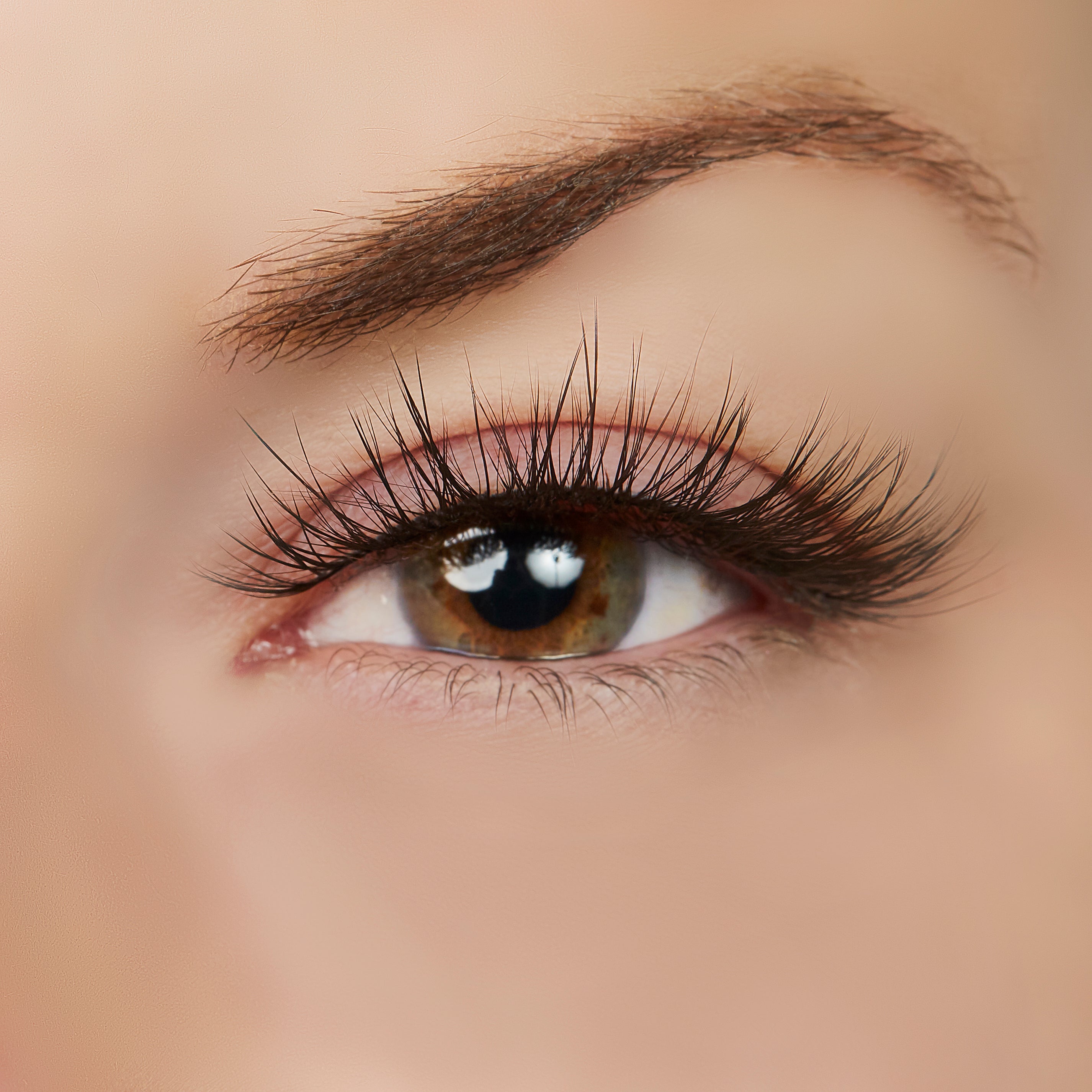  True Beauty Lashes Hustle in Heels Lash Style by True Beauty Lashes - Standard (apply with Lash Adhesive) - Bonton