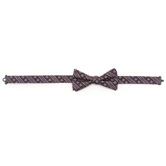 Mardi Gras Stripe Bow Tie