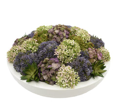 Assorted Sedum, Succulents and Snowball Hydrangea In Round Planter