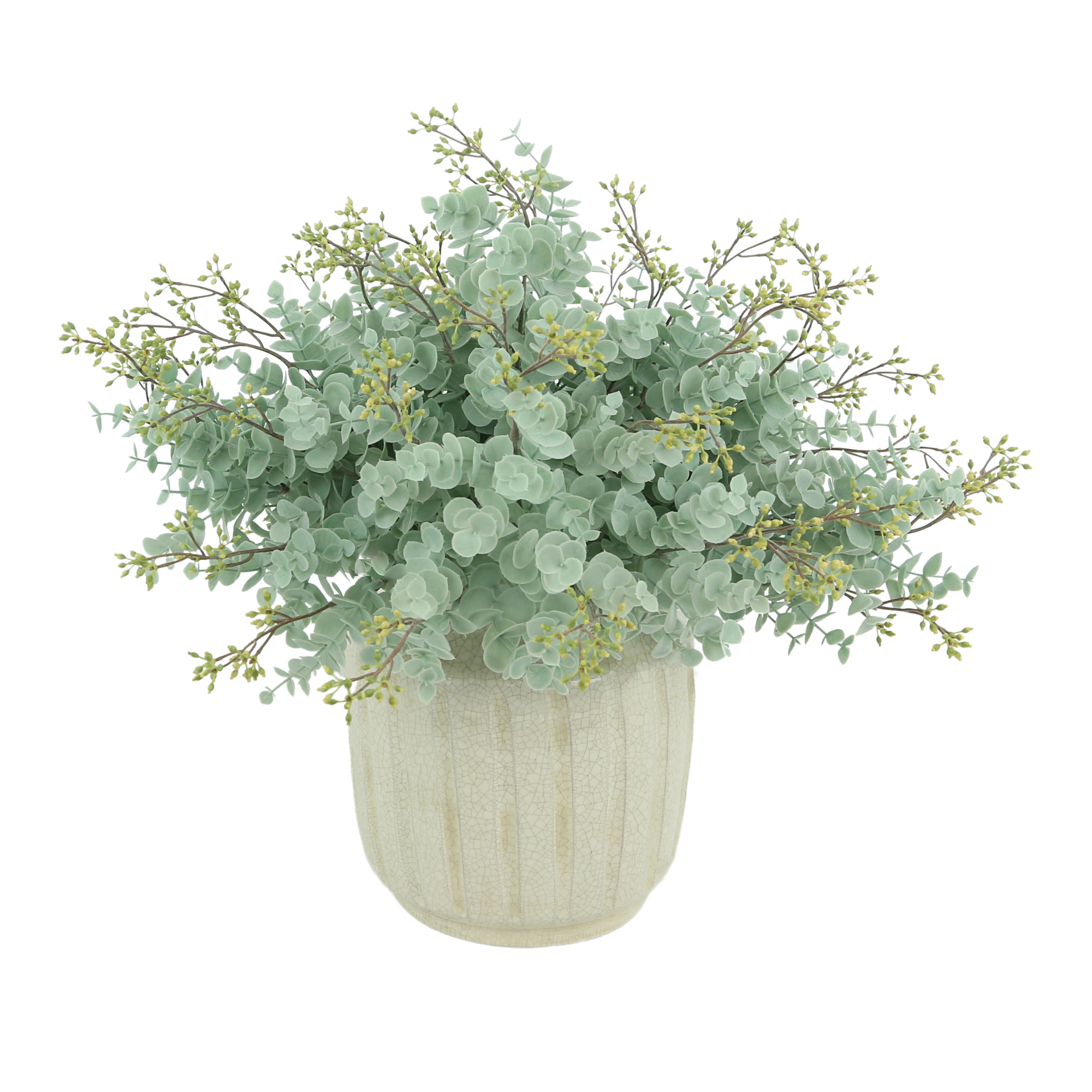  Creative Displays Seeded Eucalyptus in a Ceramic Pot - Green - Bonton