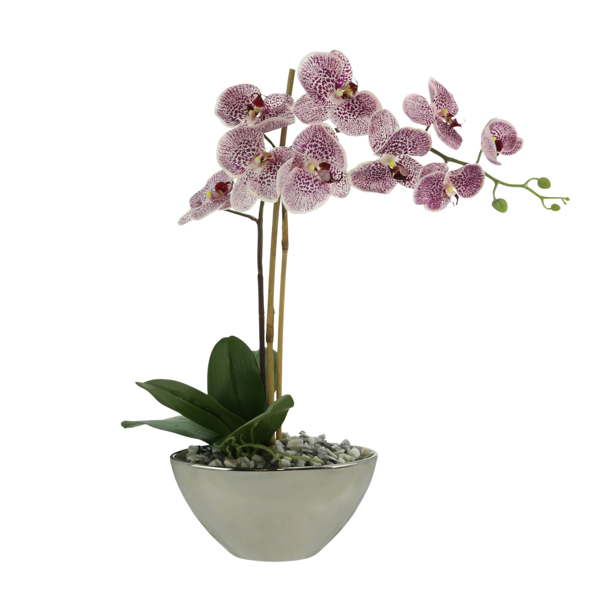  Creative Displays Orchid Arrangement in a Glass Vase - Purple - Bonton