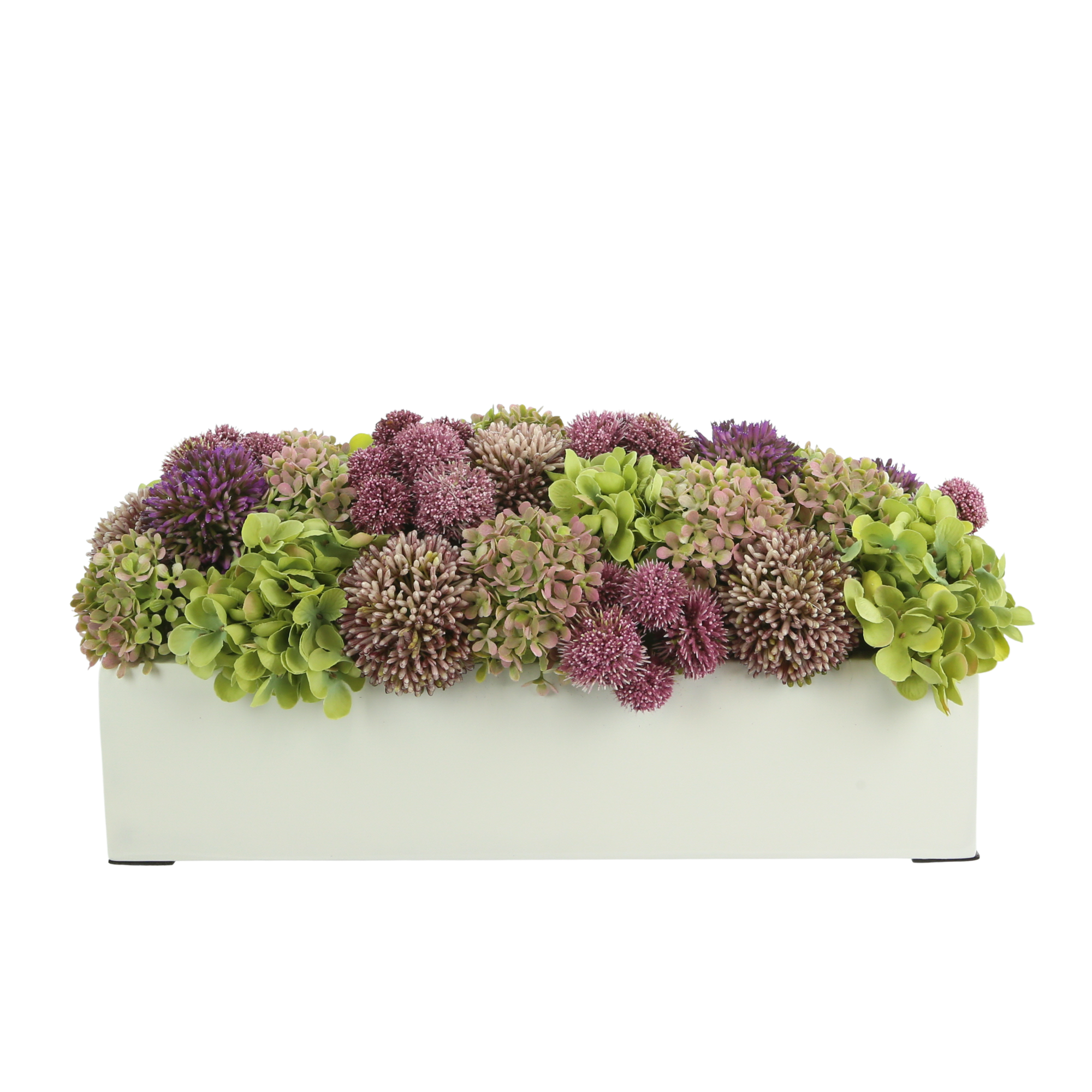  Creative Displays Hydrangea and Allium in a Rectangular Planter - Multi - Bonton