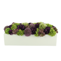 Assorted Sedum and Allium in a Rectangular Planter