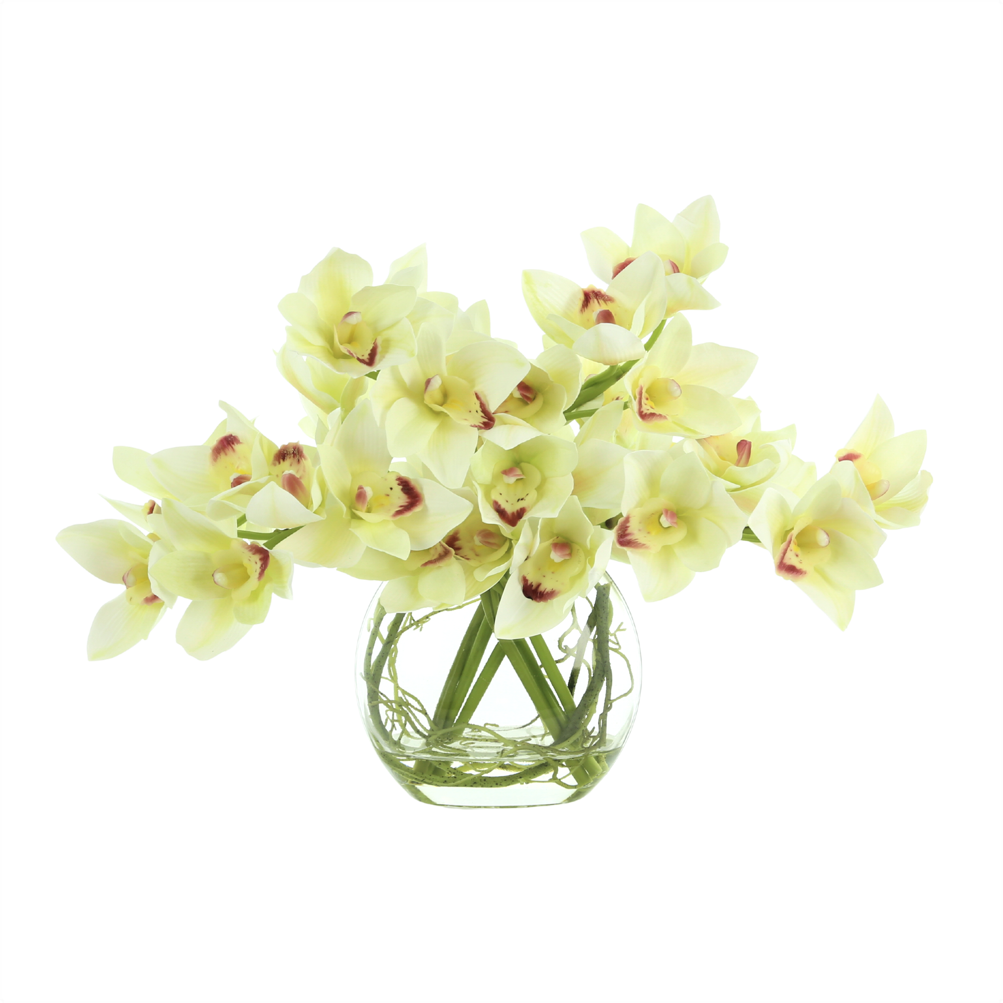  Creative Displays Orchids and Vine in a Glass Vase - Green - Bonton