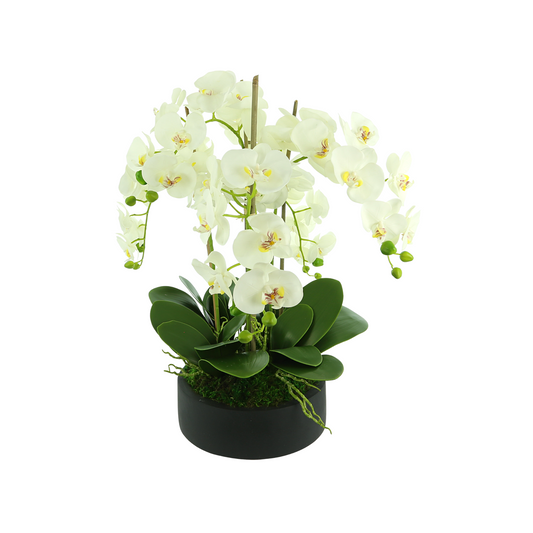 Orchid Floral Arrangement in a Round Fiberstone Planter