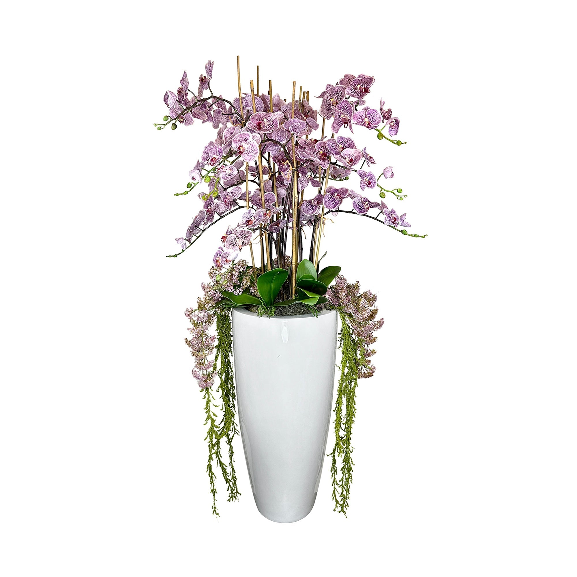  Creative Displays Orchid and Amaranthus Arranged In Fiberstone Planter - Purple - Bonton