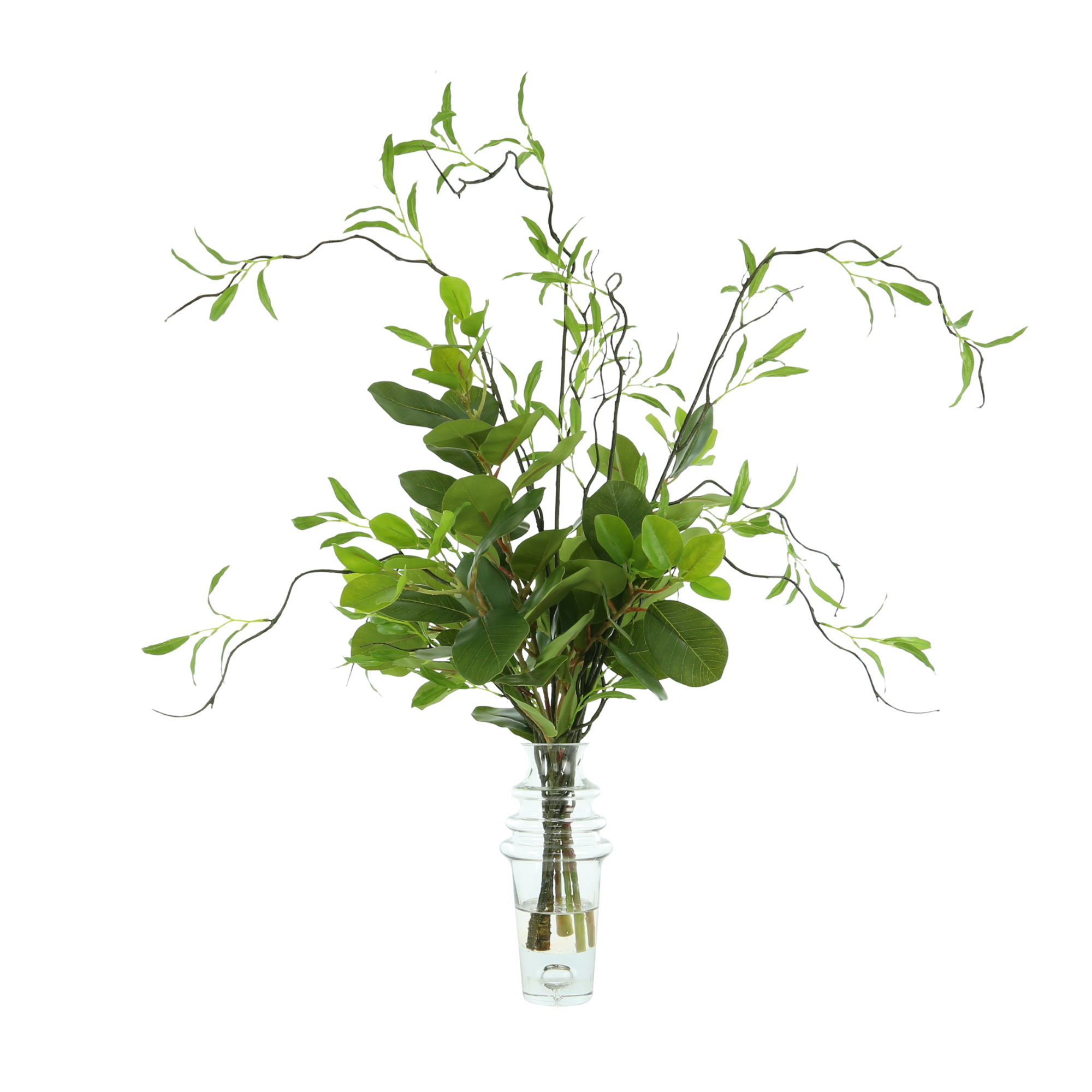  Creative Displays Willow Branch Arrangement in a Tall Glass Vase with Foliage - Green - Bonton