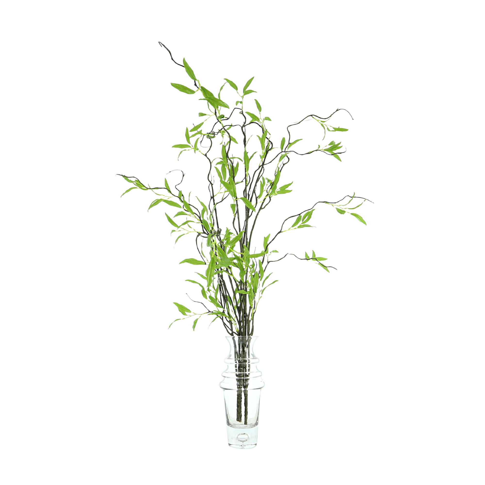  Creative Displays Willow Branch Arrangement in a Tall Glass Vase - Green - Bonton