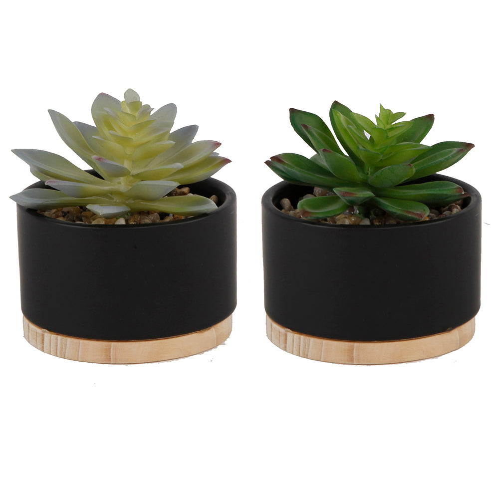  Flora Bunda Black Ceramic Mini Pots with Wood Base - Black - Bonton