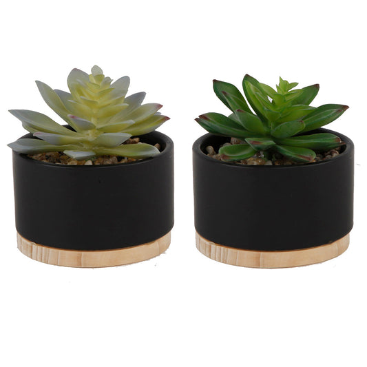 Black Ceramic Mini Pots with Wood Base