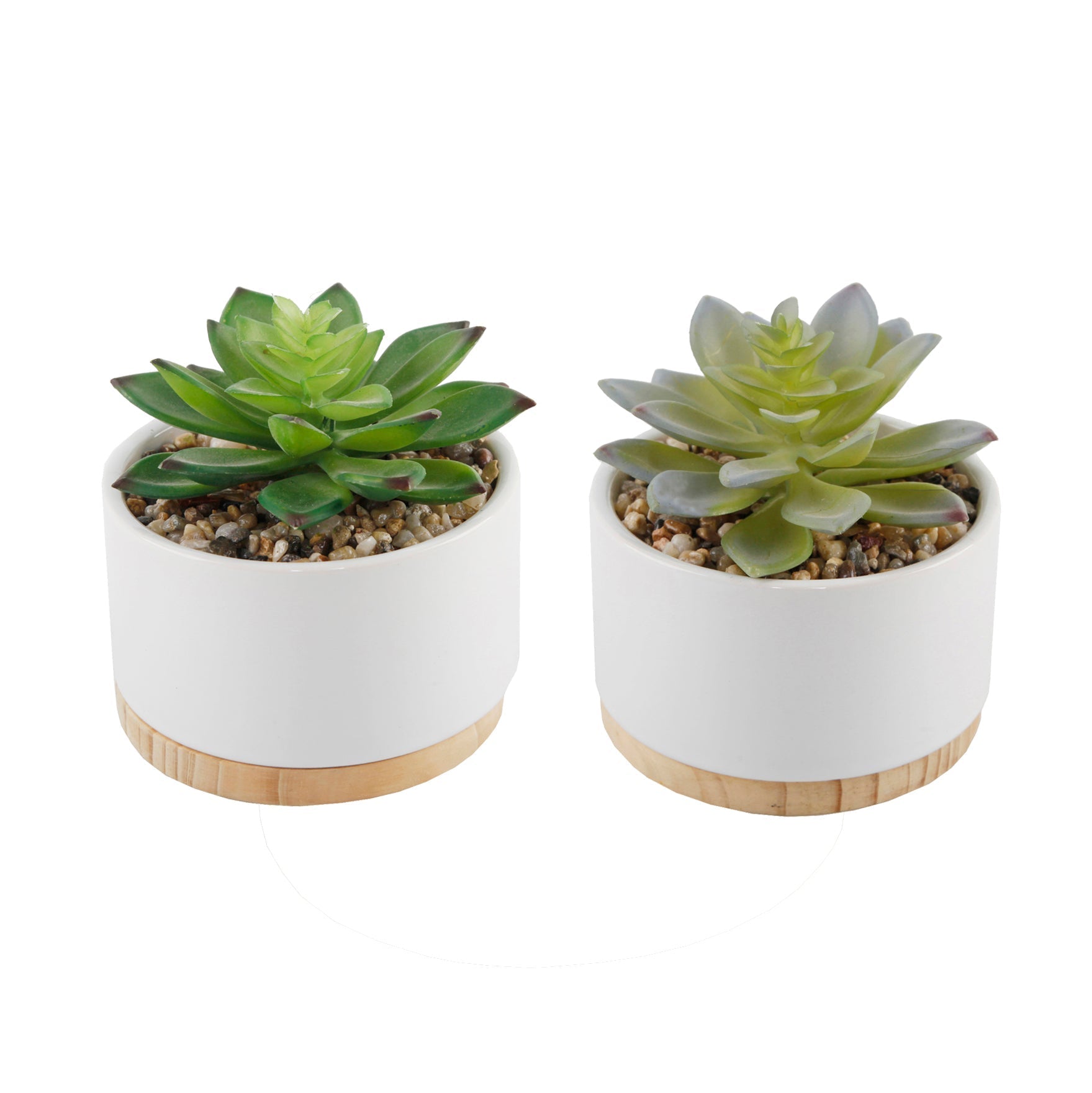  Flora Bunda Set of White Ceramic Mini Pots with Wood Base - White - Bonton