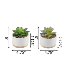 Set of White Ceramic Mini Pots with Wood Base