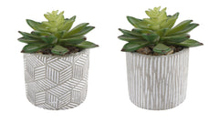 Set of Modern Mini Cement Pots