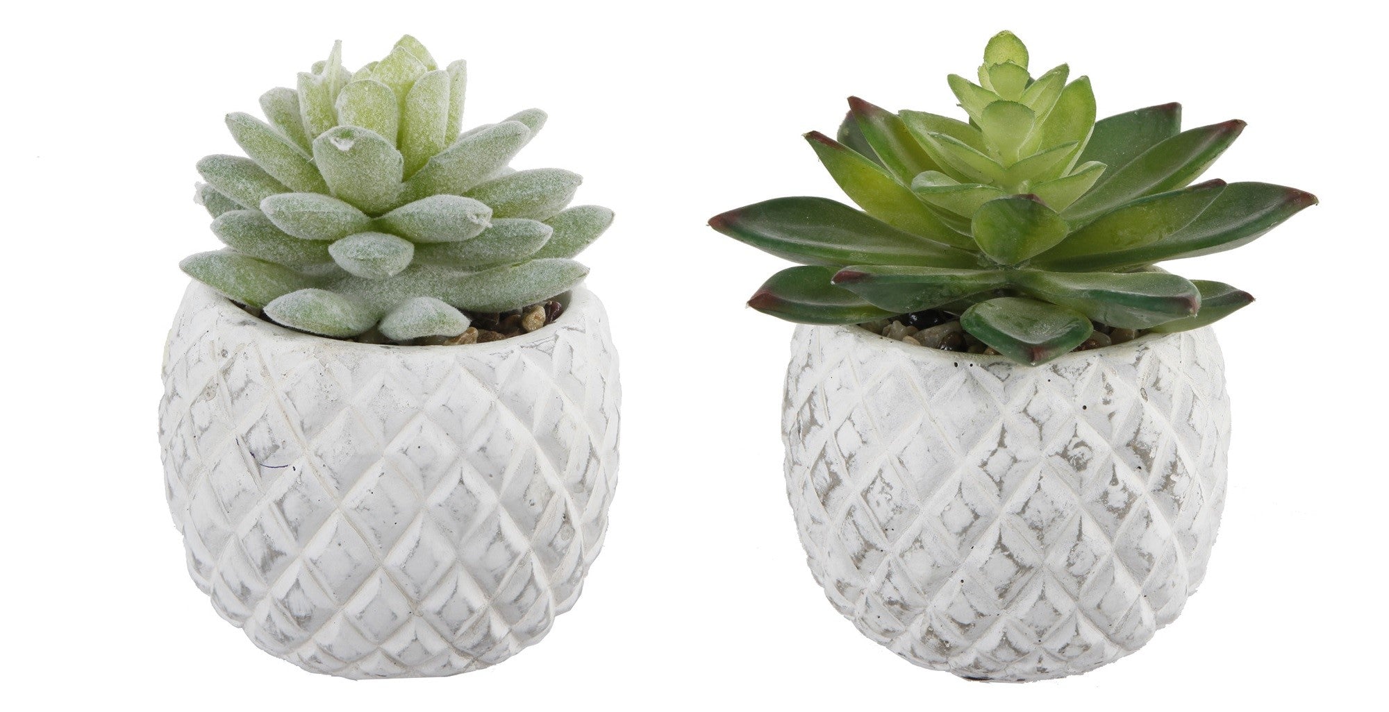  Flora Bunda White-Washed look Pineapple Pot - White - Bonton