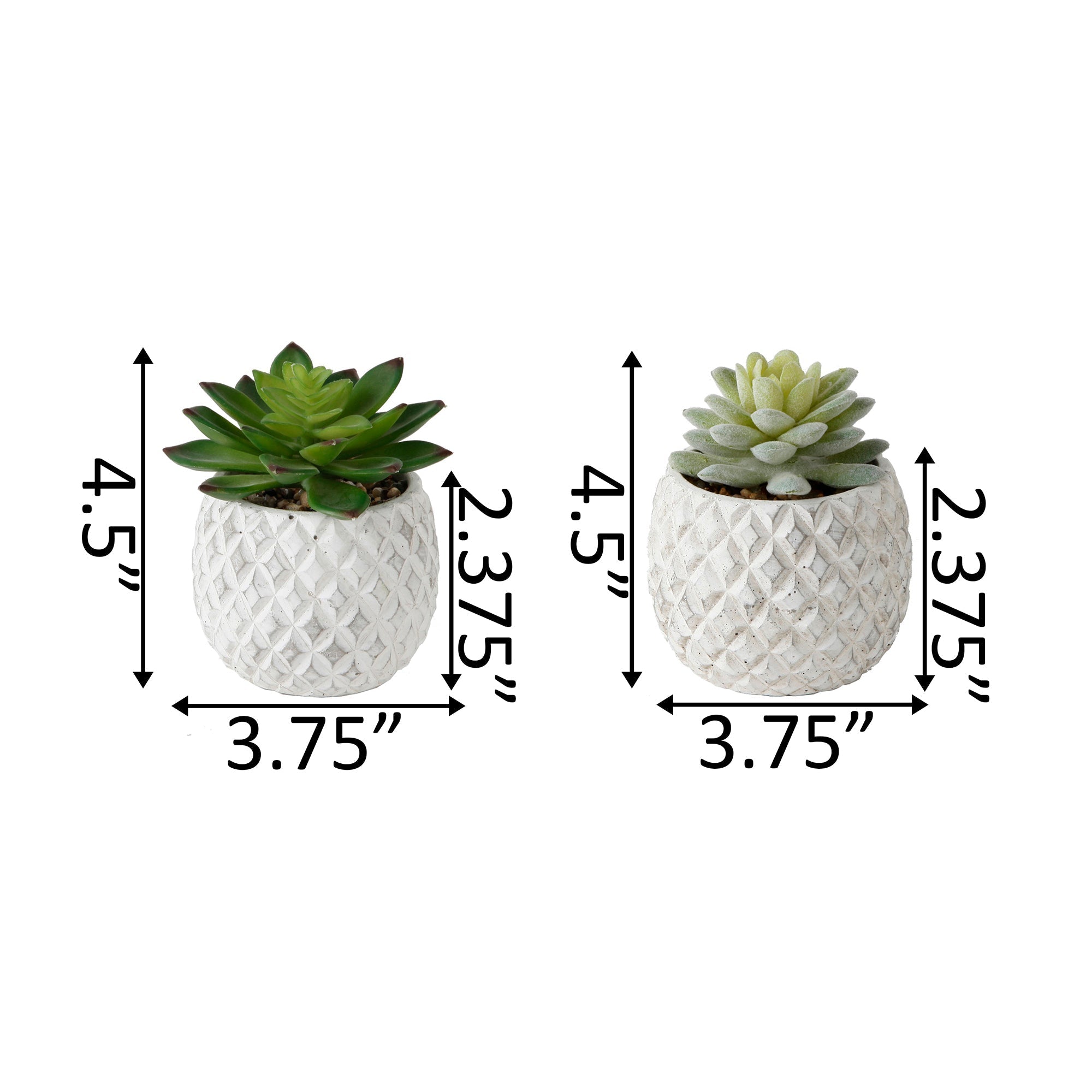  Flora Bunda White-Washed look Pineapple Pot - White - Bonton