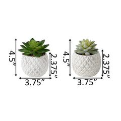 White-Washed look Pineapple Pot