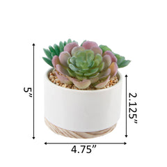 White Ceramic Pot with Wood Base