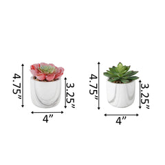 Ceramic Marble Patterned Mini Pots