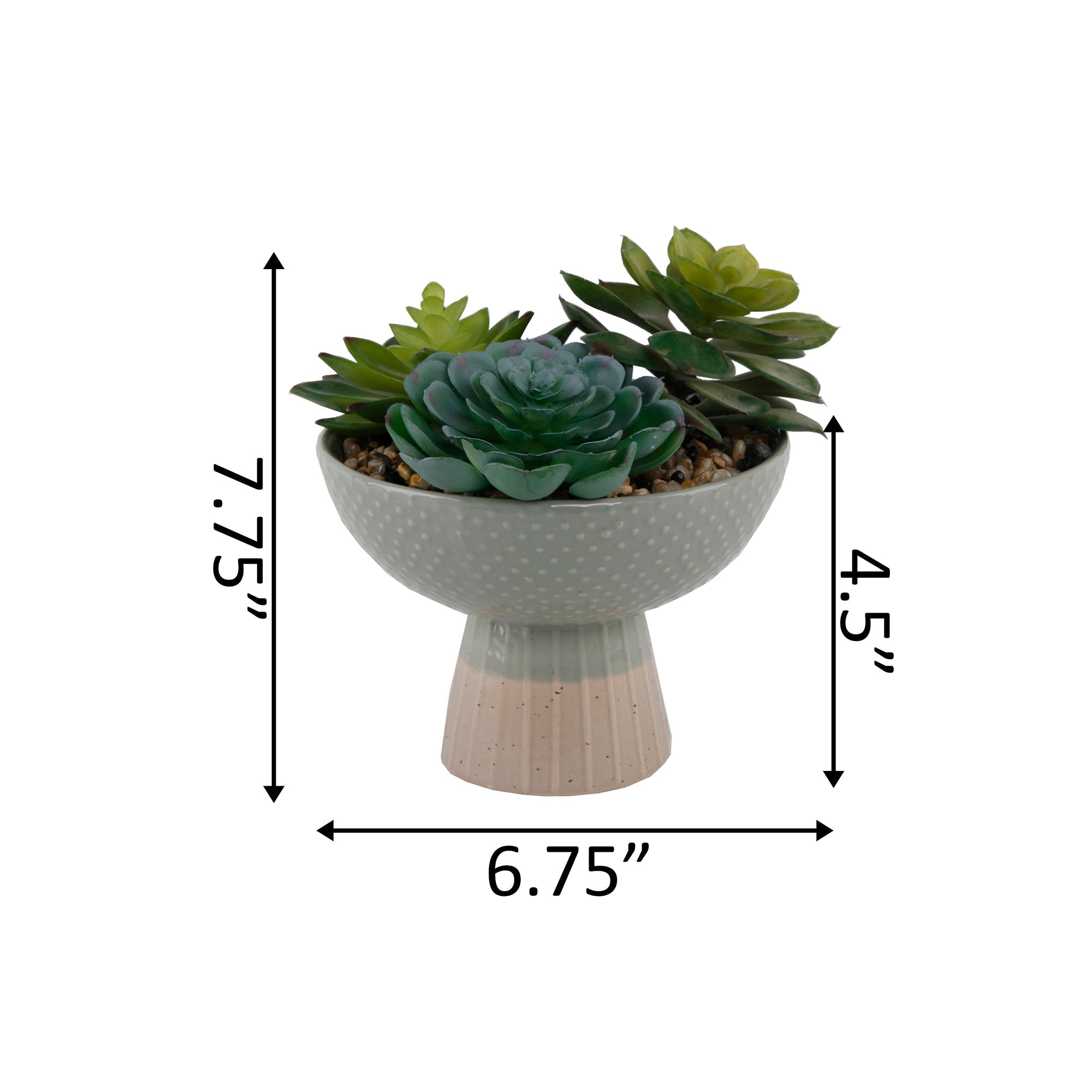  Flora Bunda Succulent Mix In Two Tone Ceramic Planter - Gray/Beige - Bonton