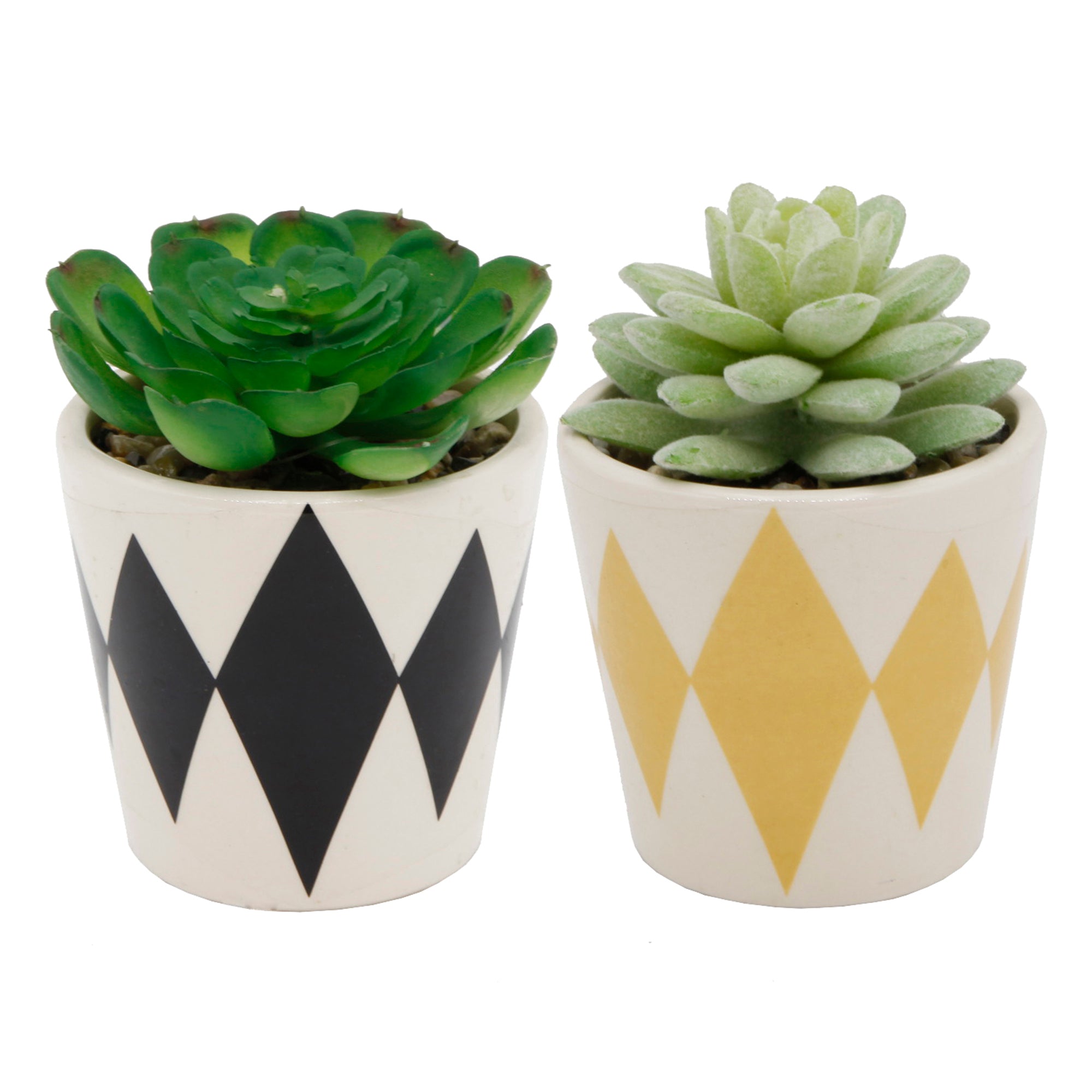  Flora Bunda Diamond Print Black and Yellow Mini Pots - Black - Bonton