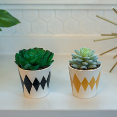 Diamond Print Black and Yellow Mini Pots