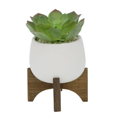 Matte White Rounded Goblet Ceramic Planter On Wood Stand