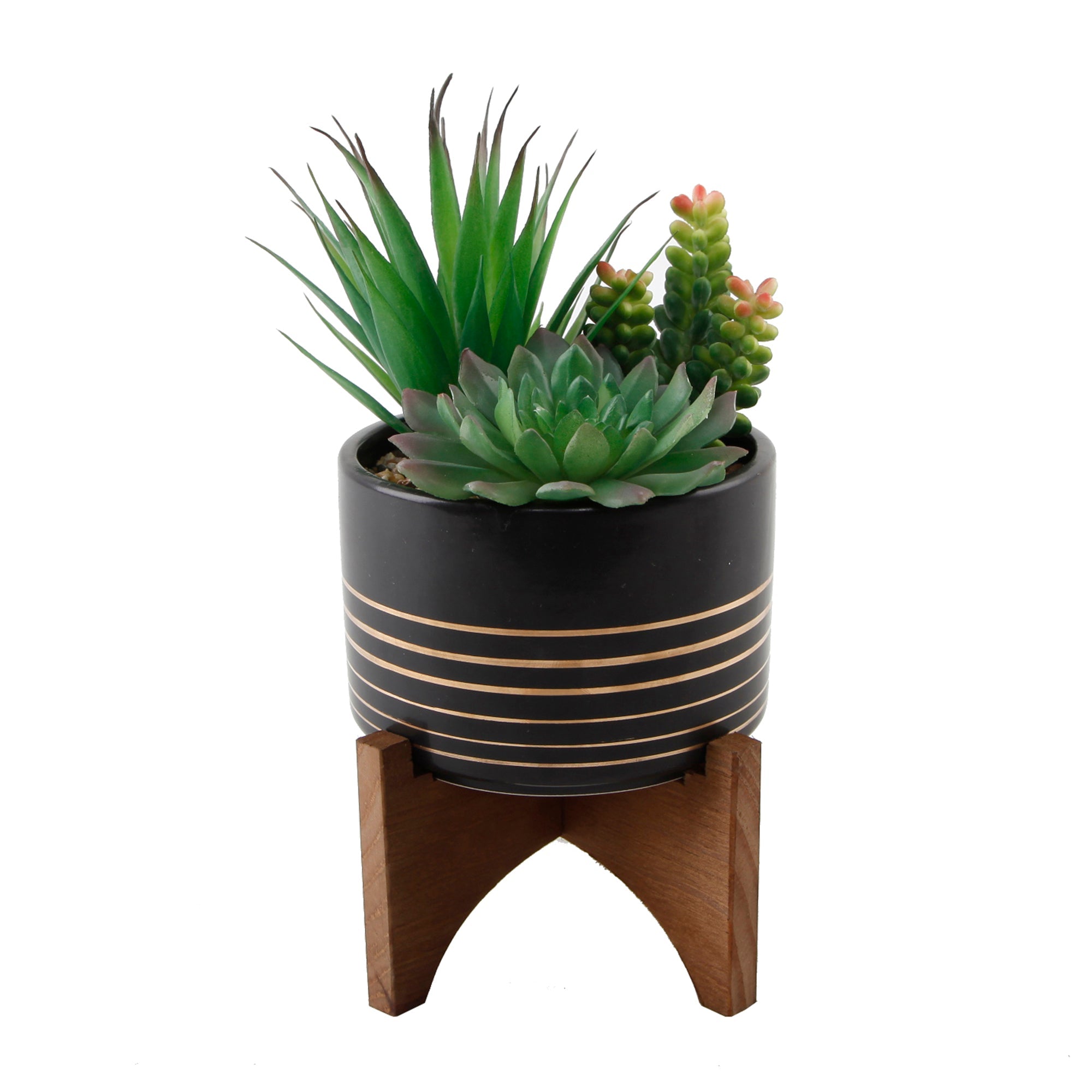  Flora Bunda Succulents In Black Planter On Stand - Black - Bonton