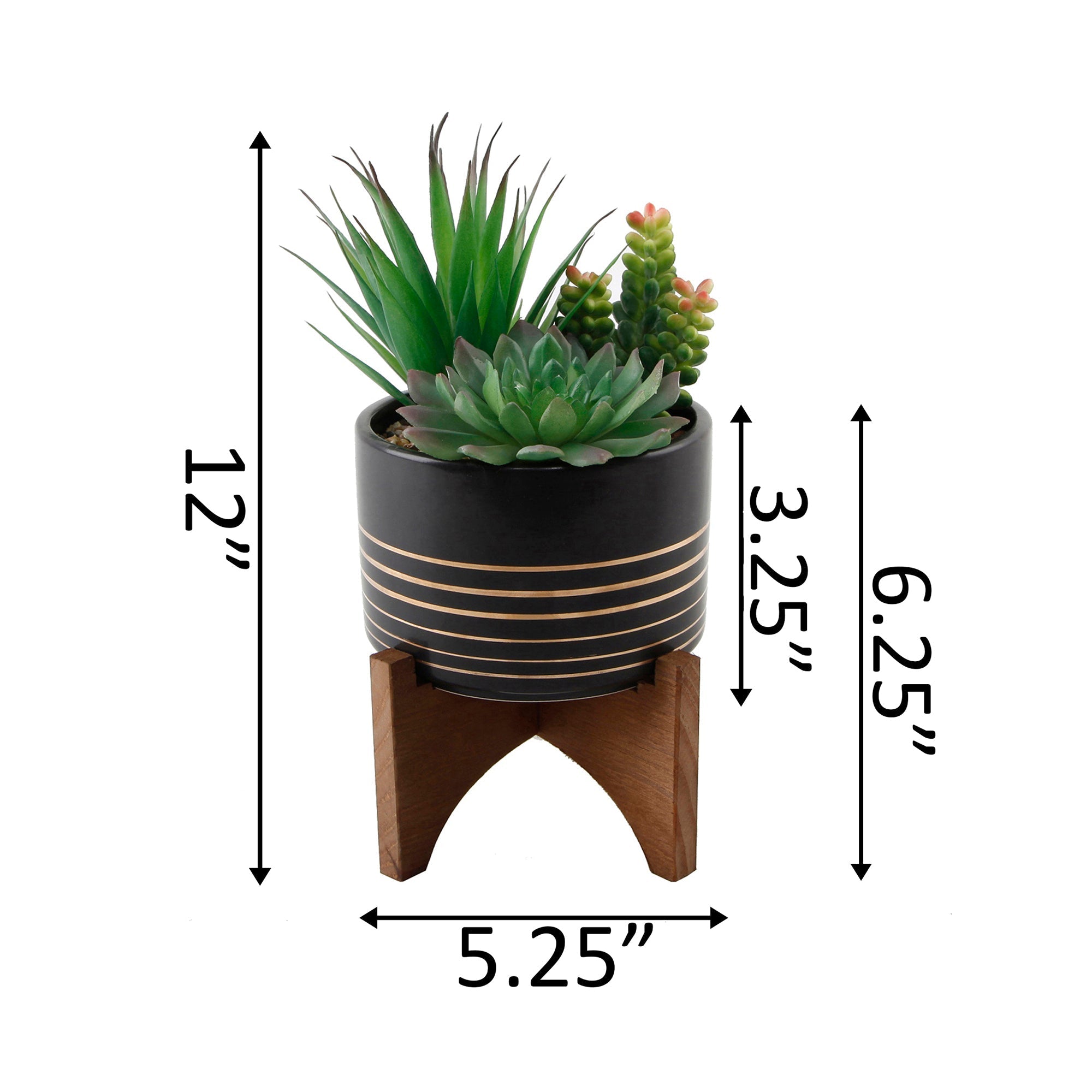  Flora Bunda Succulents In Black Planter On Stand - Black - Bonton