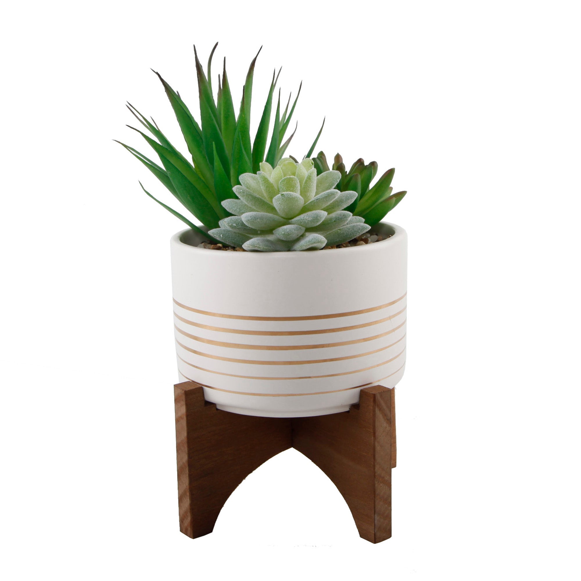  Flora Bunda Succulent Mix In White Ceramic Planter On Stand - White - Bonton