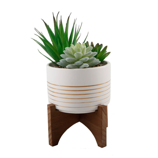 Succulent Mix In White Ceramic Planter On Stand