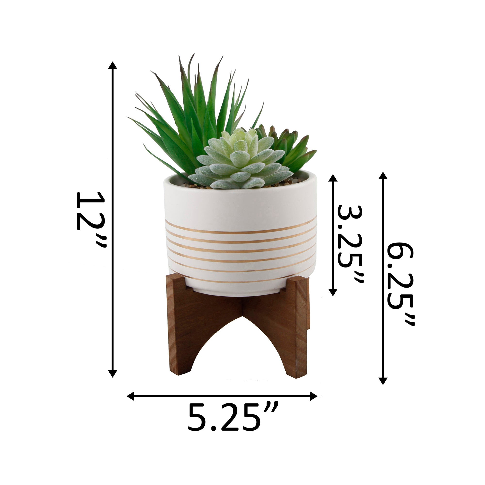  Flora Bunda Succulent Mix In White Ceramic Planter On Stand - White - Bonton